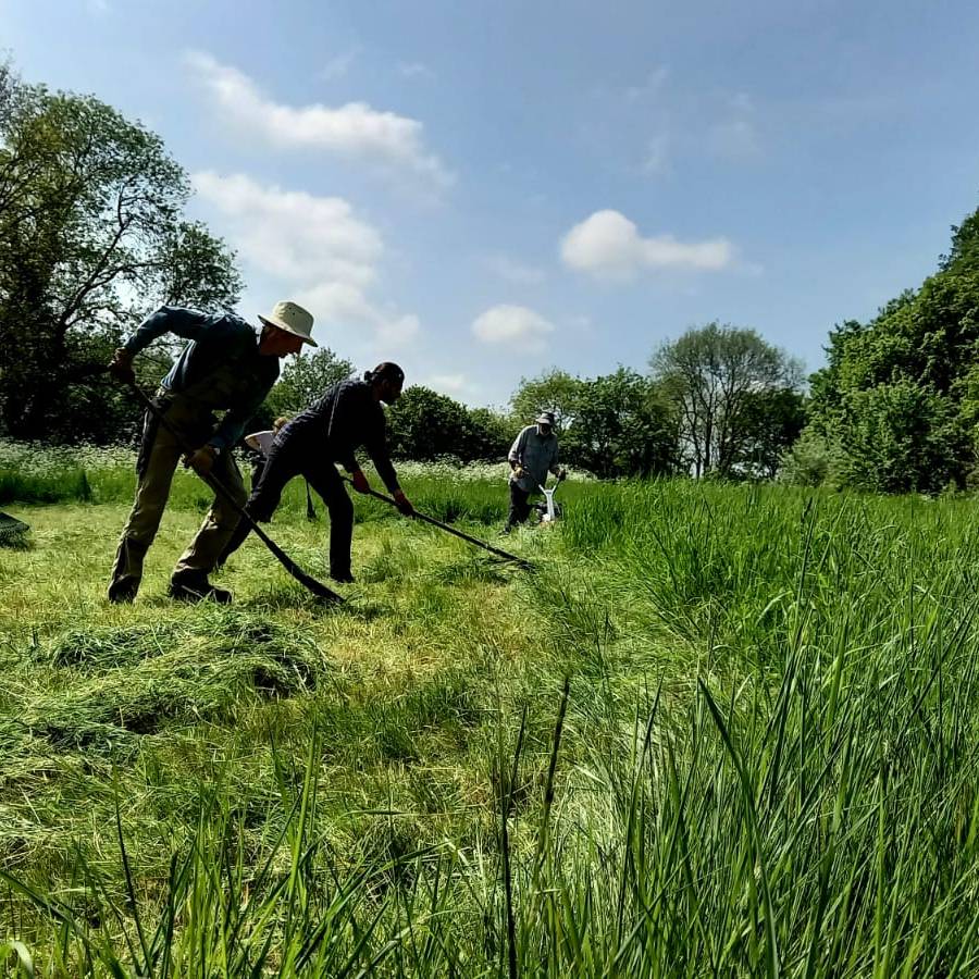 Peter Mcsweeney - Mow a Meadow