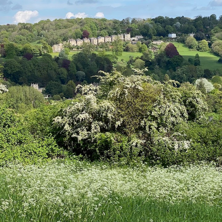 Across To Mcauley In May - Pete Keevill