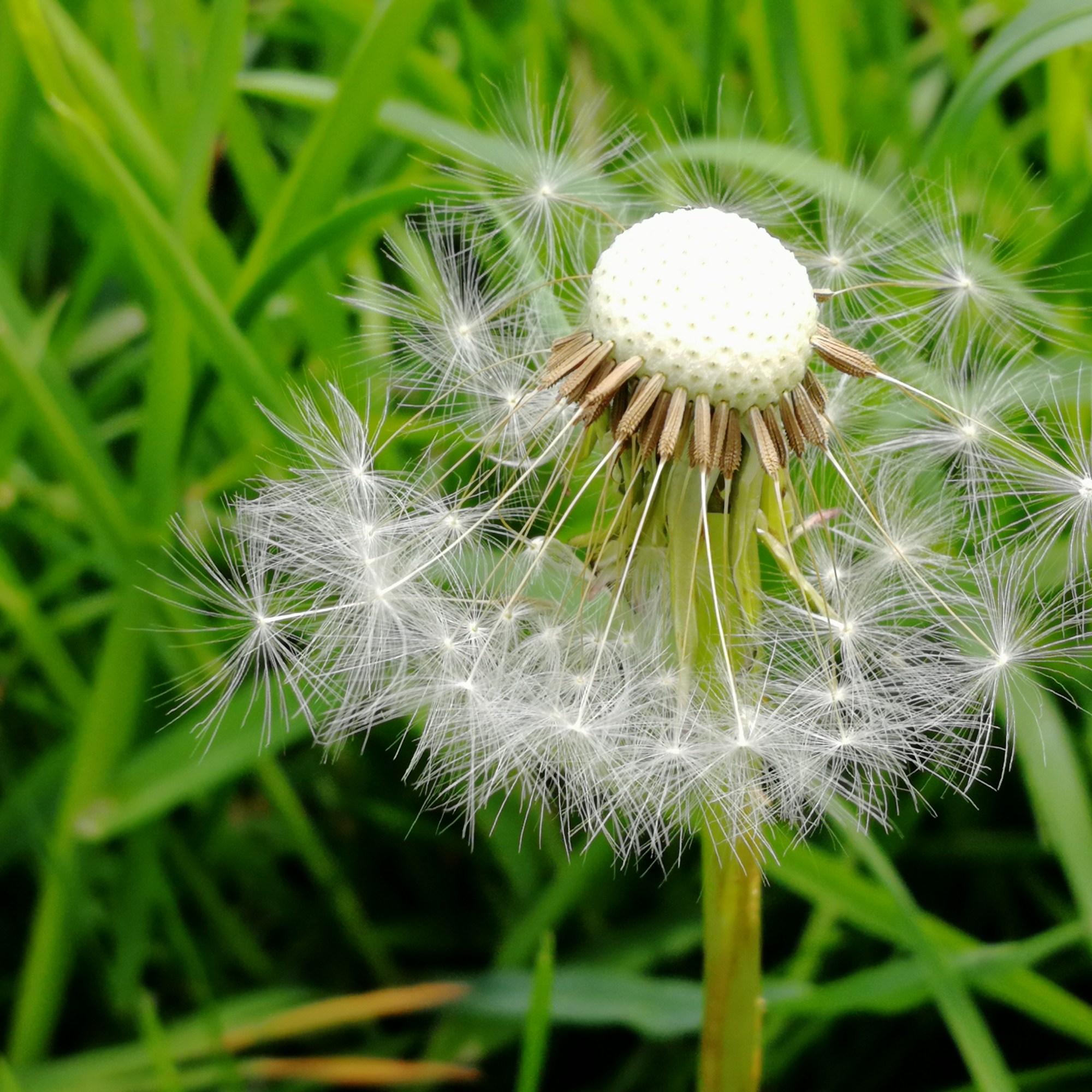 Ali Barrett - Time Flies