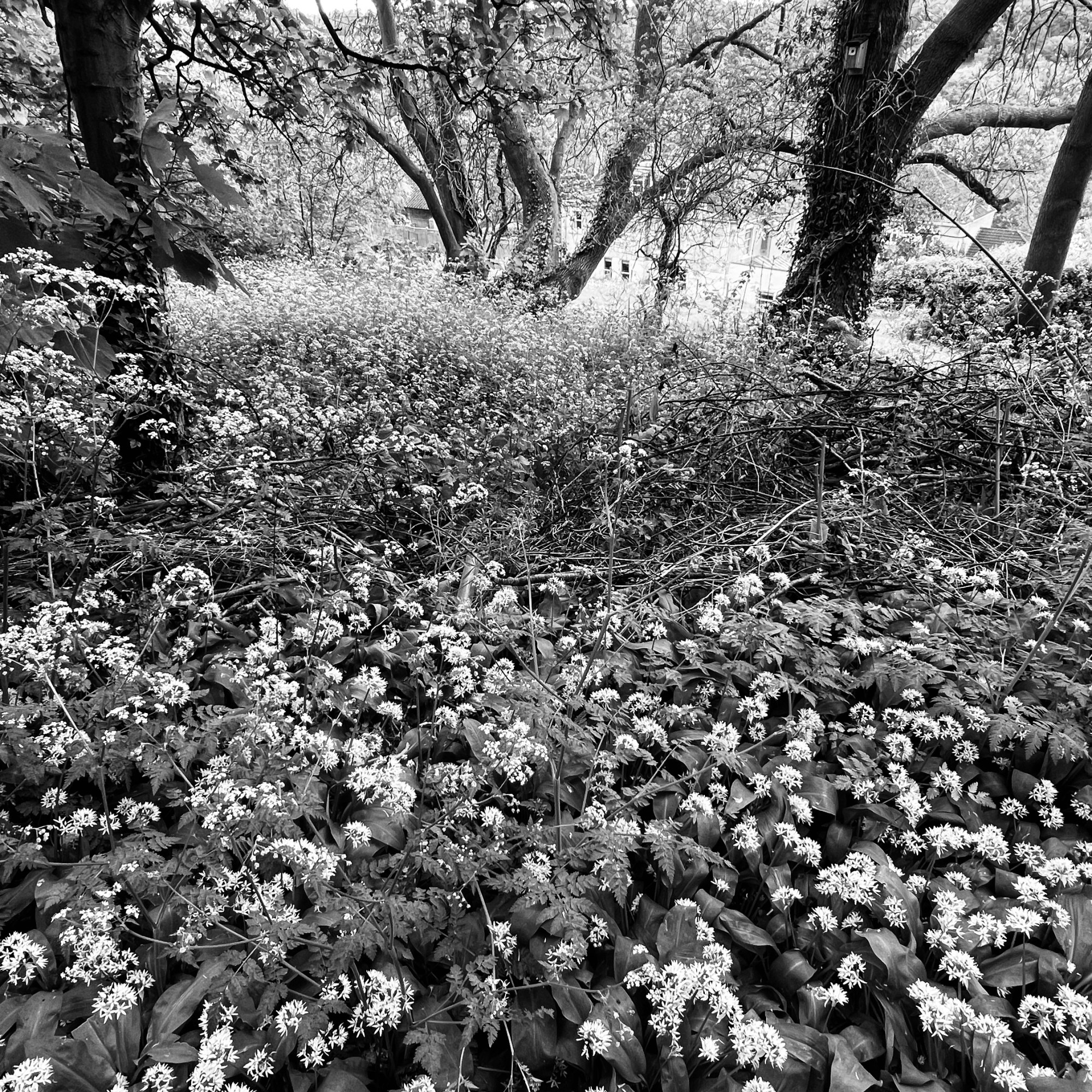 Carlos Ordonez - May 22