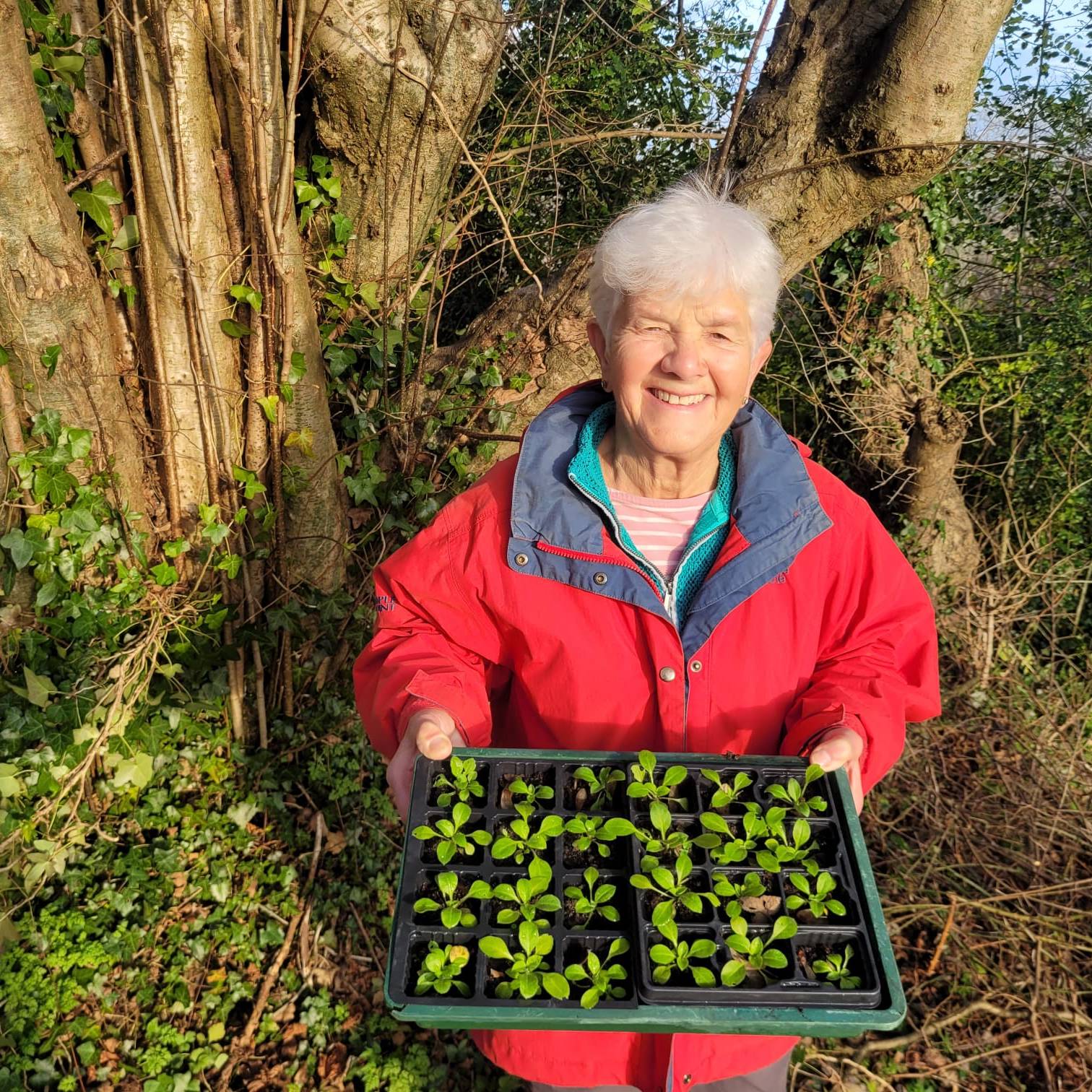 Chris and the (Red) Campions - Jack Terrett