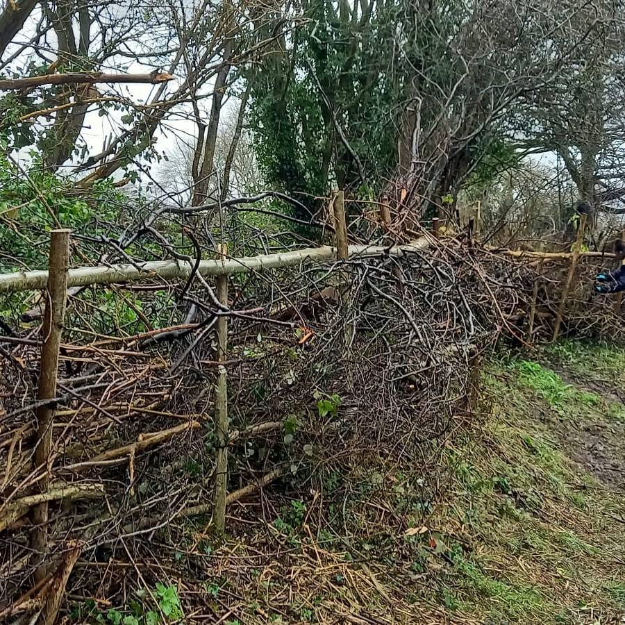 Wherever I lay my hedge thats my home - Pete McSweeney