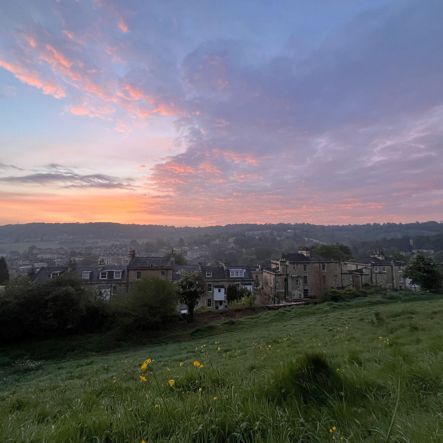 Dawn chorus sunrise - Claire McCormick